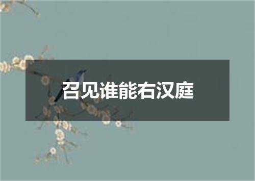 召见谁能右汉庭