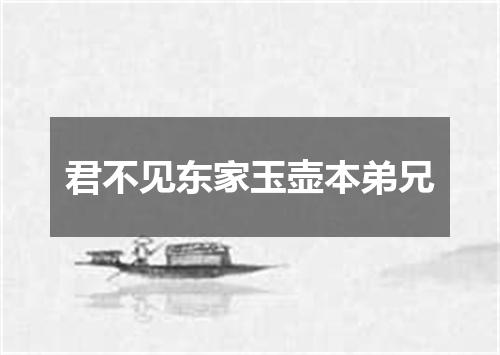 君不见东家玉壶本弟兄
