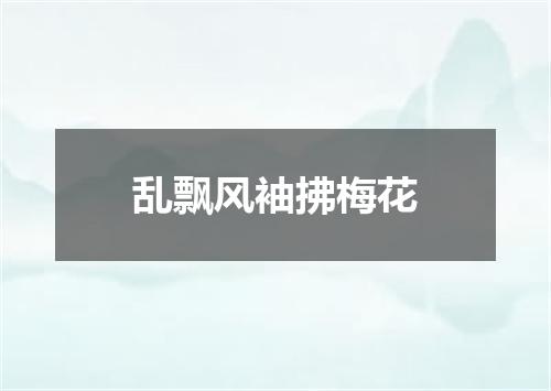 乱飘风袖拂梅花