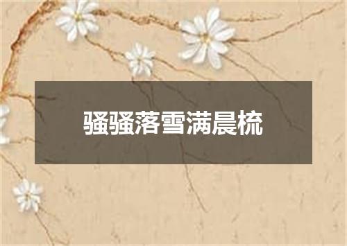 骚骚落雪满晨梳