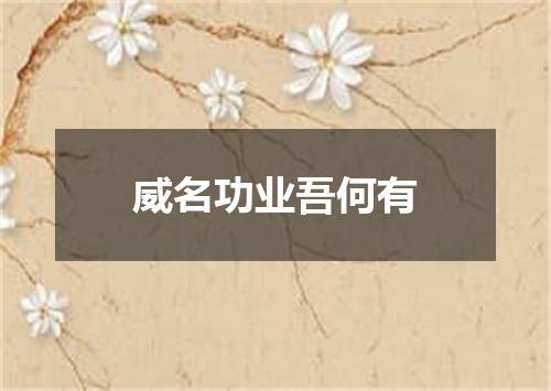 威名功业吾何有