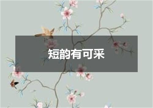短韵有可采