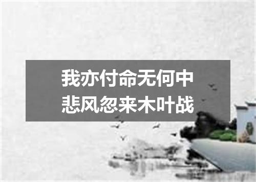 我亦付命无何中悲风忽来木叶战