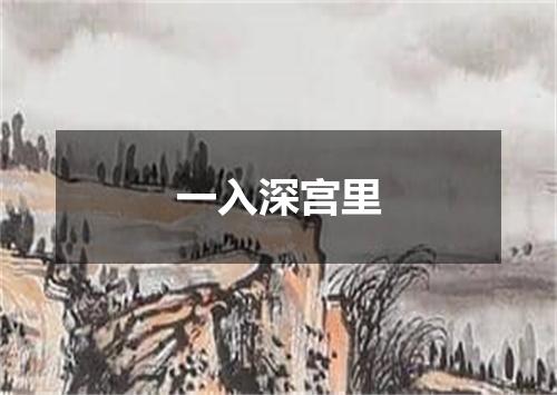 一入深宫里