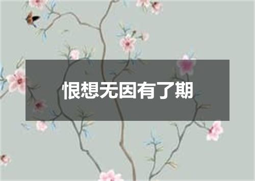 恨想无因有了期