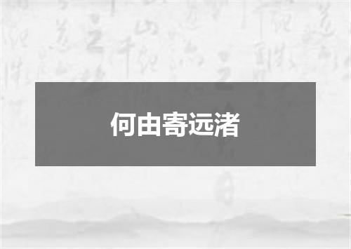 何由寄远渚