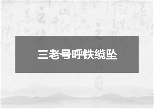 三老号呼铁缆坠