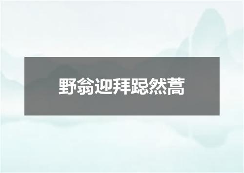 野翁迎拜跽然蒿