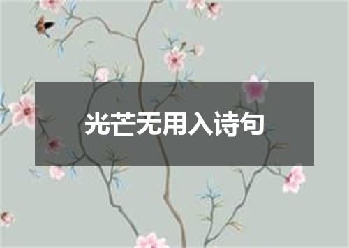 光芒无用入诗句
