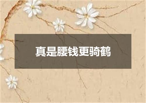 真是腰钱更骑鹤