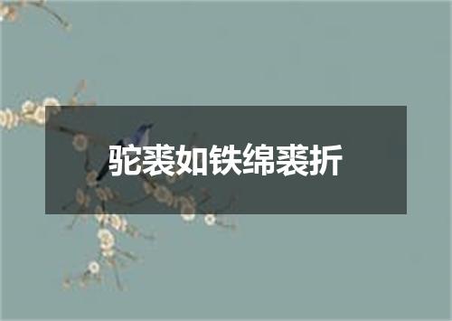 驼裘如铁绵裘折