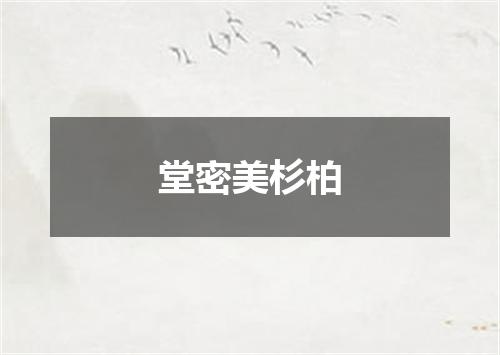 堂密美杉柏
