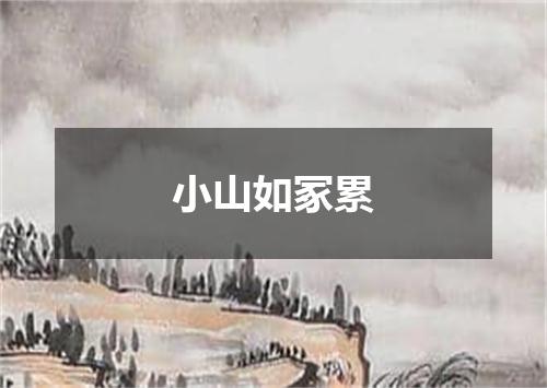 小山如冢累
