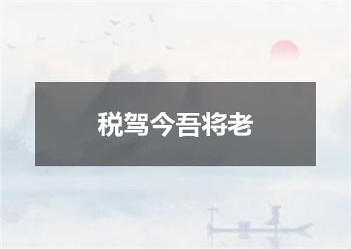 税驾今吾将老