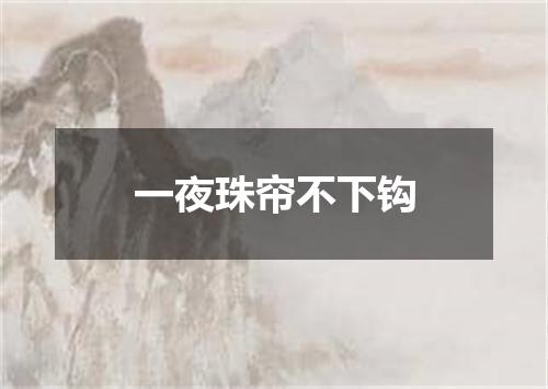 一夜珠帘不下钩
