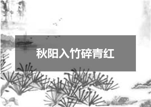 秋阳入竹碎青红