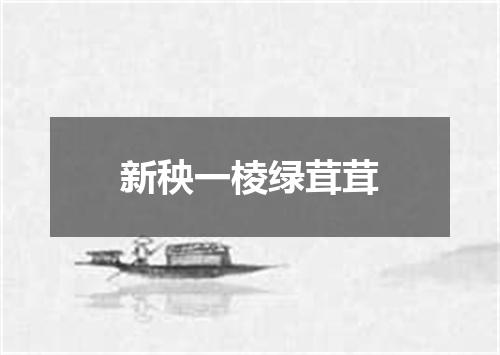 新秧一棱绿茸茸
