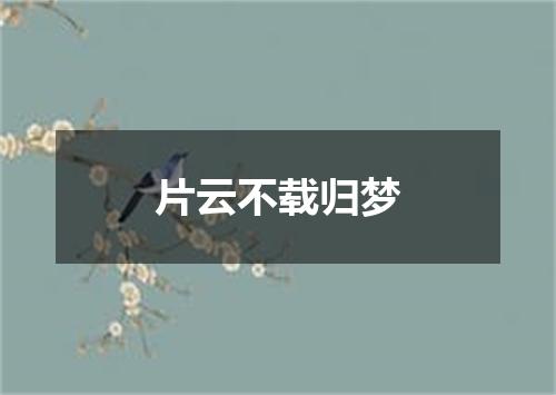 片云不载归梦