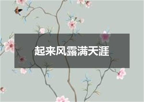 起来风露满天涯