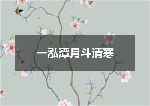 一泓潭月斗清寒