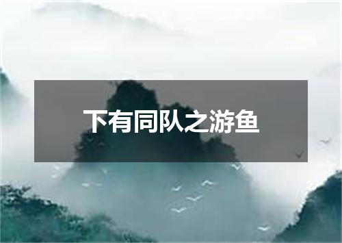 下有同队之游鱼