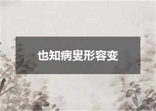 也知病叟形容变