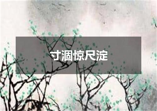 寸涸惊尺淀