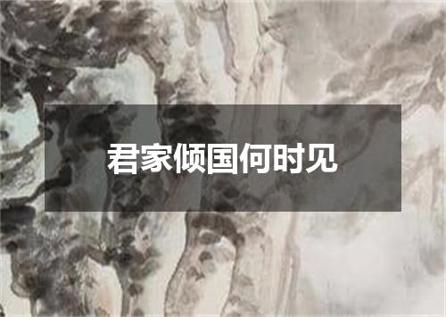 君家倾国何时见