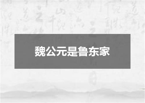 魏公元是鲁东家