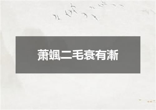 萧颯二毛衰有漸