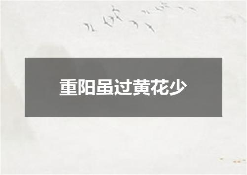 重阳虽过黄花少