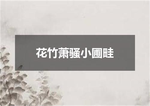花竹萧骚小圃畦