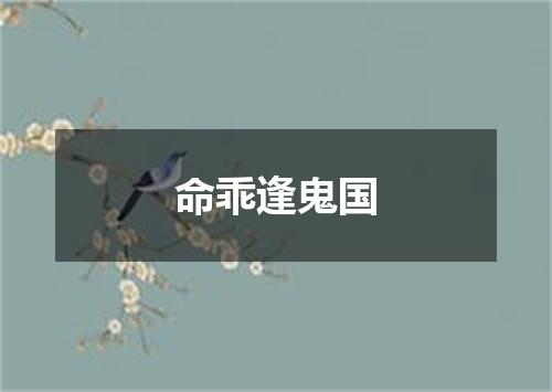 命乖逢鬼国