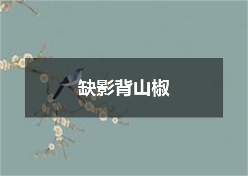 缺影背山椒