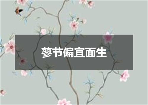 蓼节偏宜面生