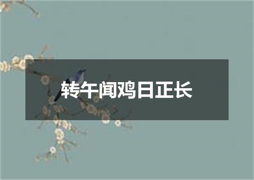 转午闻鸡日正长