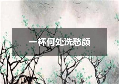 一杯何处洗愁颜