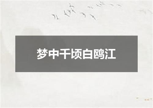 梦中千顷白鸥江