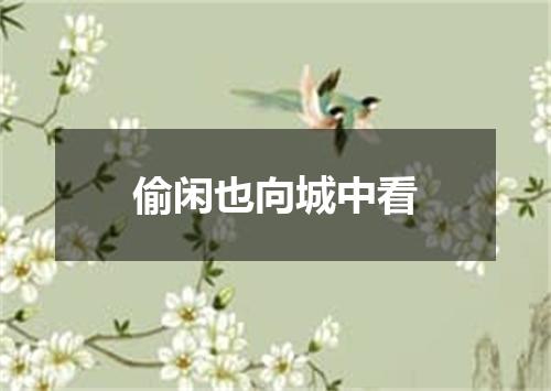 偷闲也向城中看