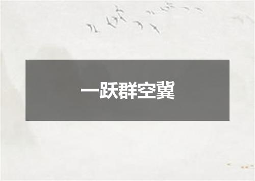 一跃群空冀