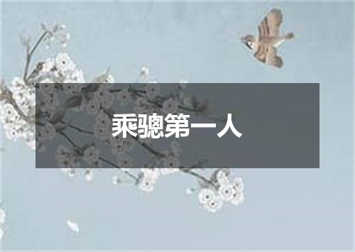 乘骢第一人