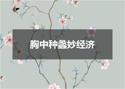 胸中种蠡妙经济