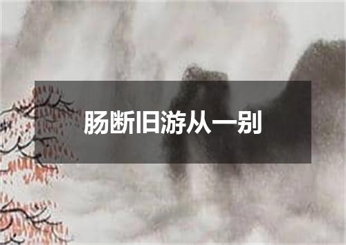 肠断旧游从一别