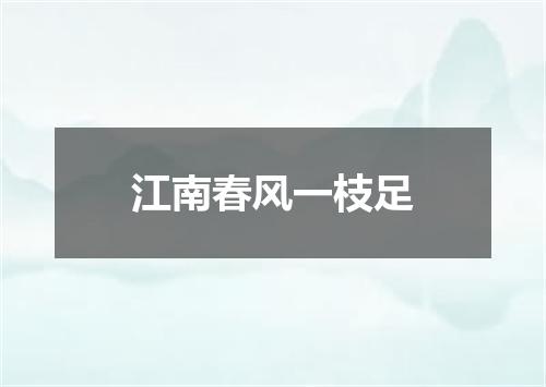 江南春风一枝足
