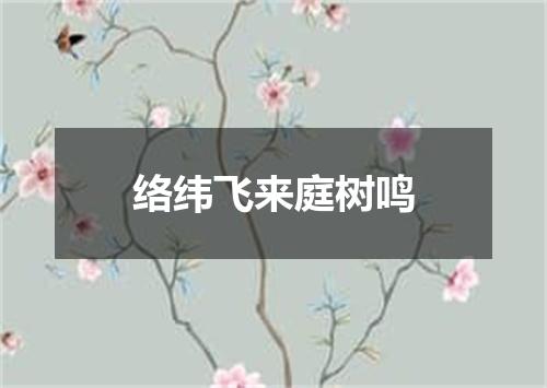 络纬飞来庭树鸣