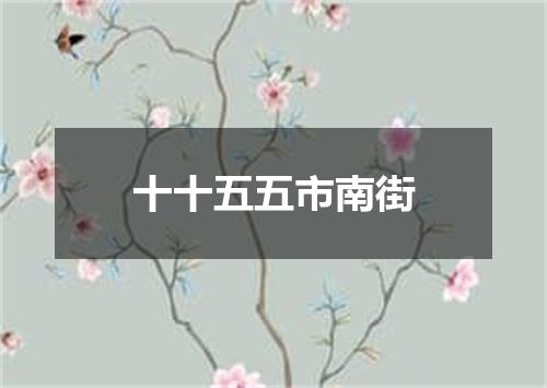 十十五五市南街