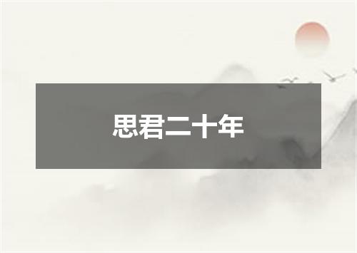思君二十年