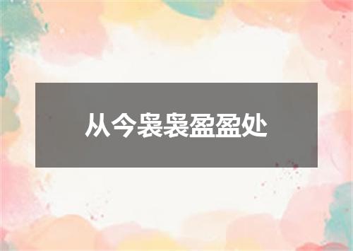 从今袅袅盈盈处