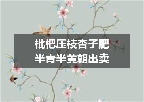 枇杷压枝杏子肥半青半黄朝出卖
