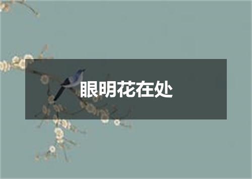 眼明花在处